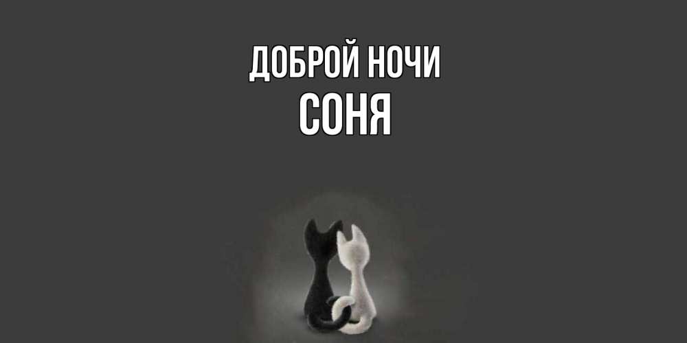 Открытка на каждый день с именем, Соня Доброй ночи коты Прикольная открытка с пожеланием онлайн скачать бесплатно 