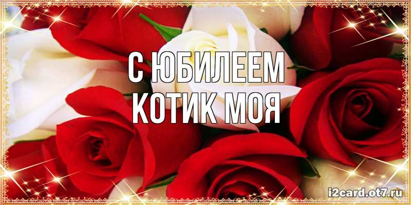 Картинка C юбилеем, Котик моя