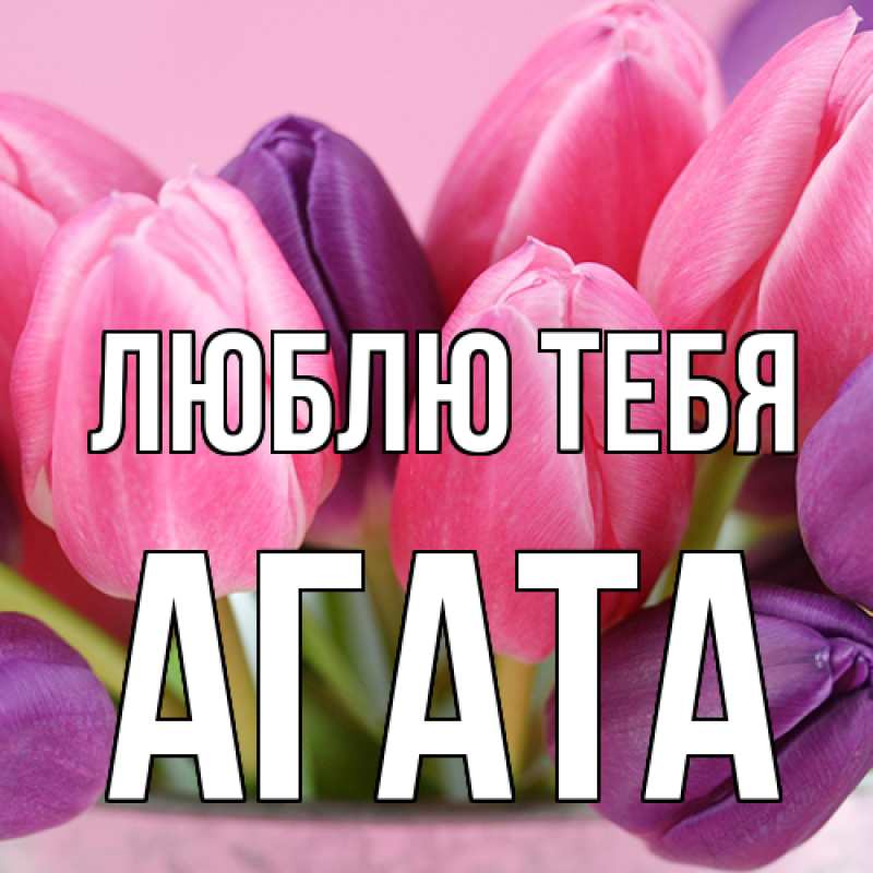 Картинка Люблю тебя, Агата