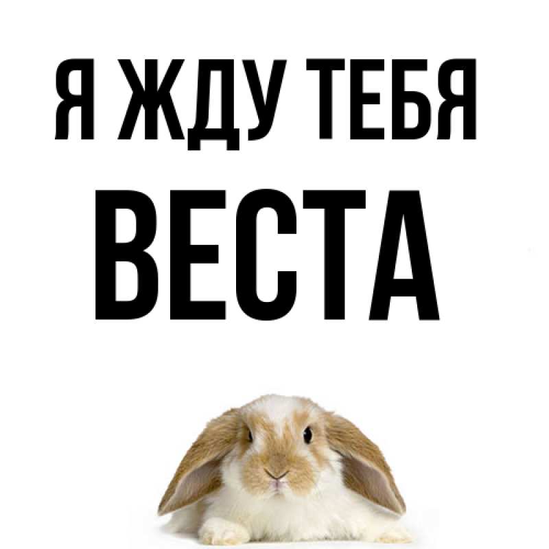 Картинка Я жду тебя, Веста