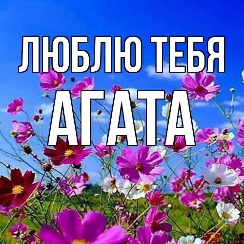 Картинка Люблю тебя, Агата