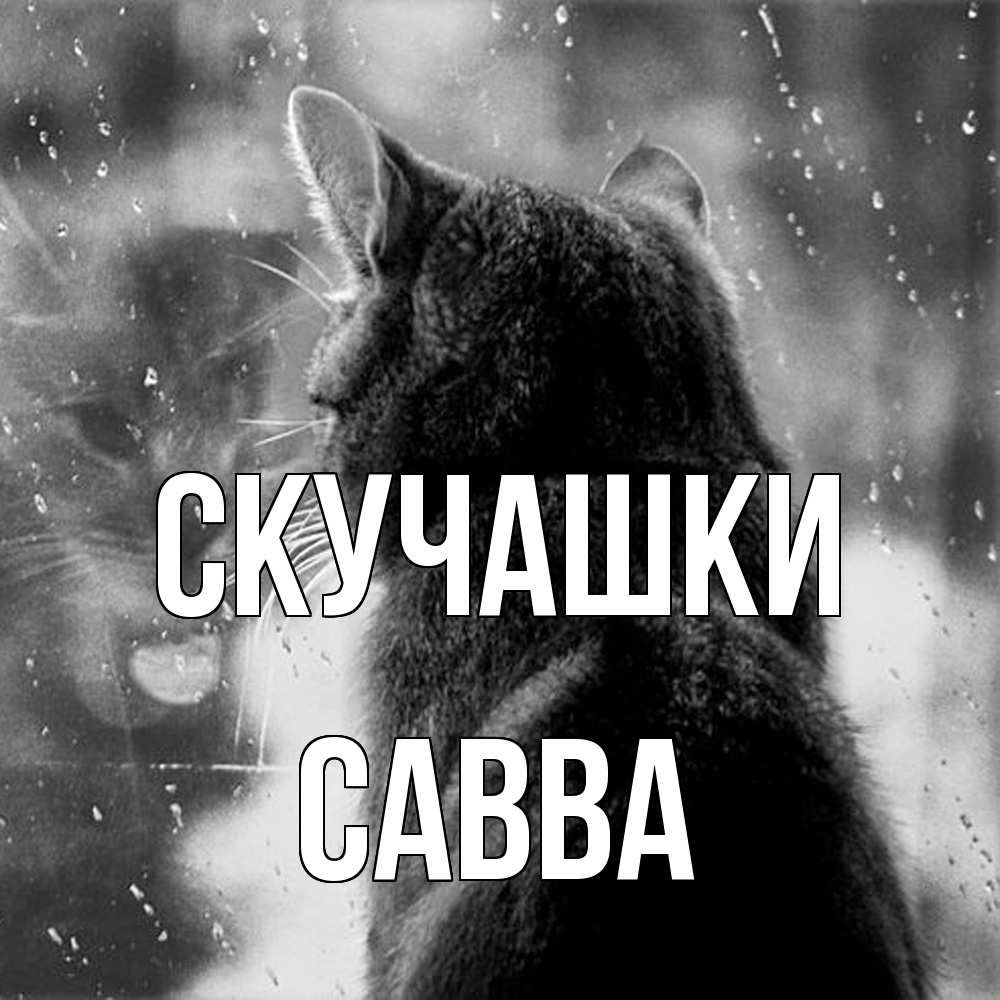 Открытка на каждый день с именем, Савва Скучашки скорее ко мне приходи 1 Прикольная открытка с пожеланием онлайн скачать бесплатно 
