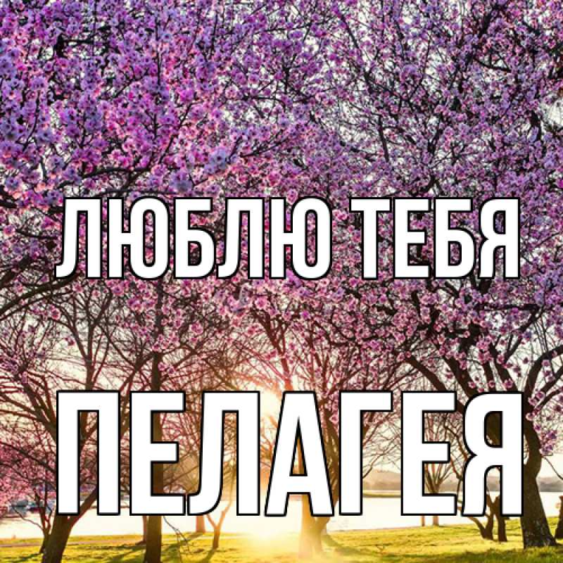 Картинка Люблю тебя, Пелагея