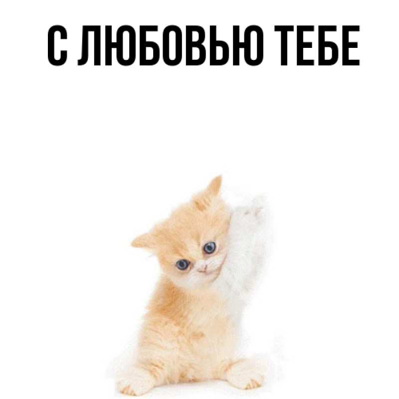 Открытка с именем, Рада, Обнимашки