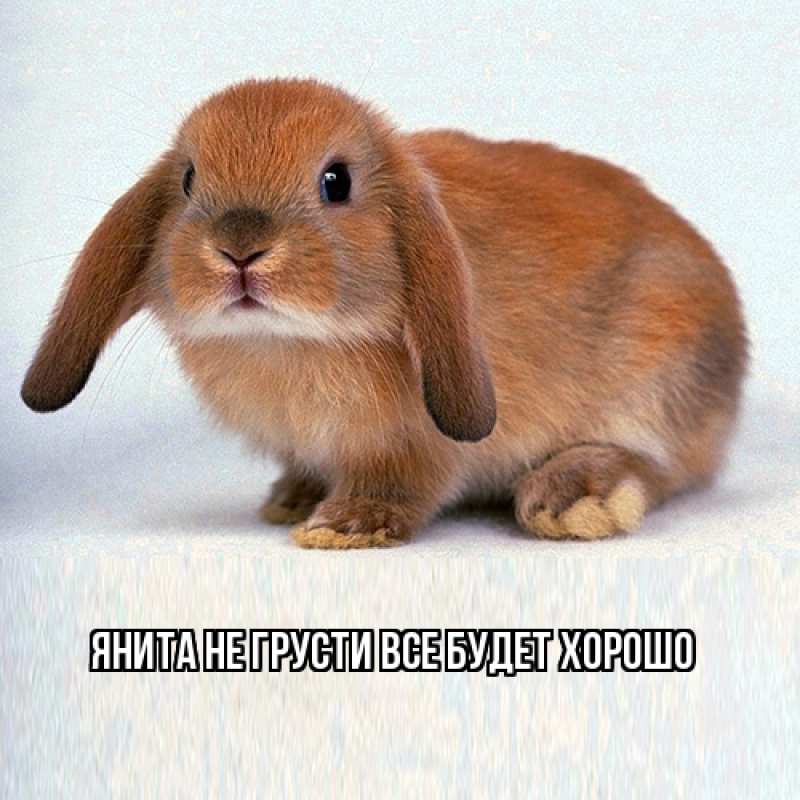 Открытка с именем, Янита, Не грусти, все будет хорошо