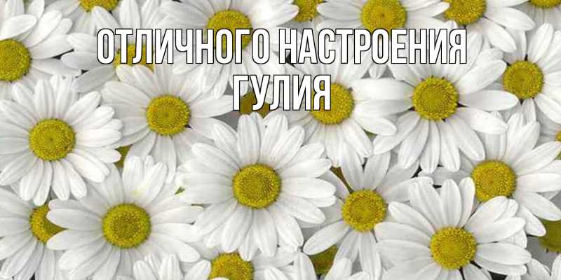 Открытка с именем, Гулия, Отличного настроения