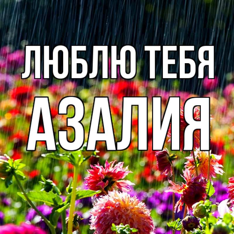 Открытка с именем, Азалия, Люблю тебя