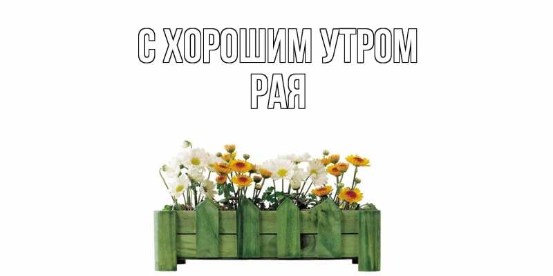Картинка С хорошим утром, Рая