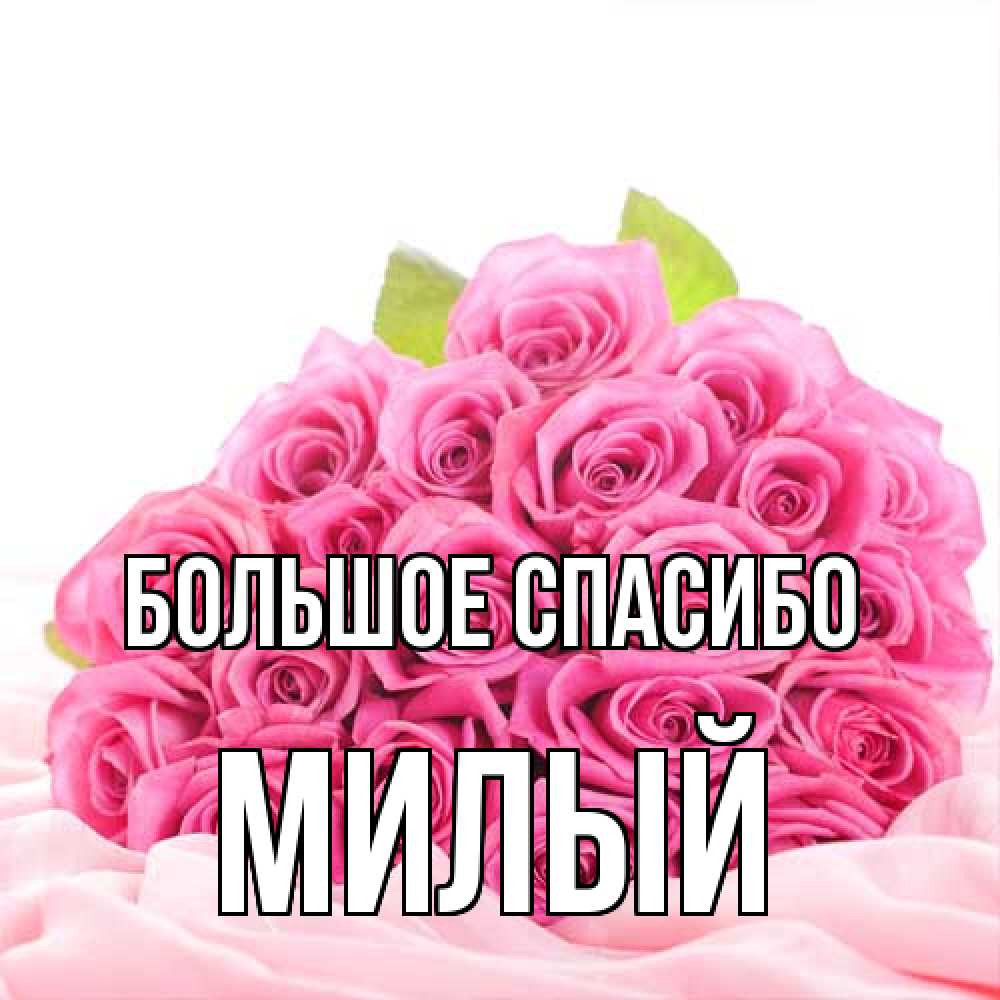 Открытка на каждый день с именем, Милый Большое спасибо розовые розы с подписью Прикольная открытка с пожеланием онлайн скачать бесплатно 