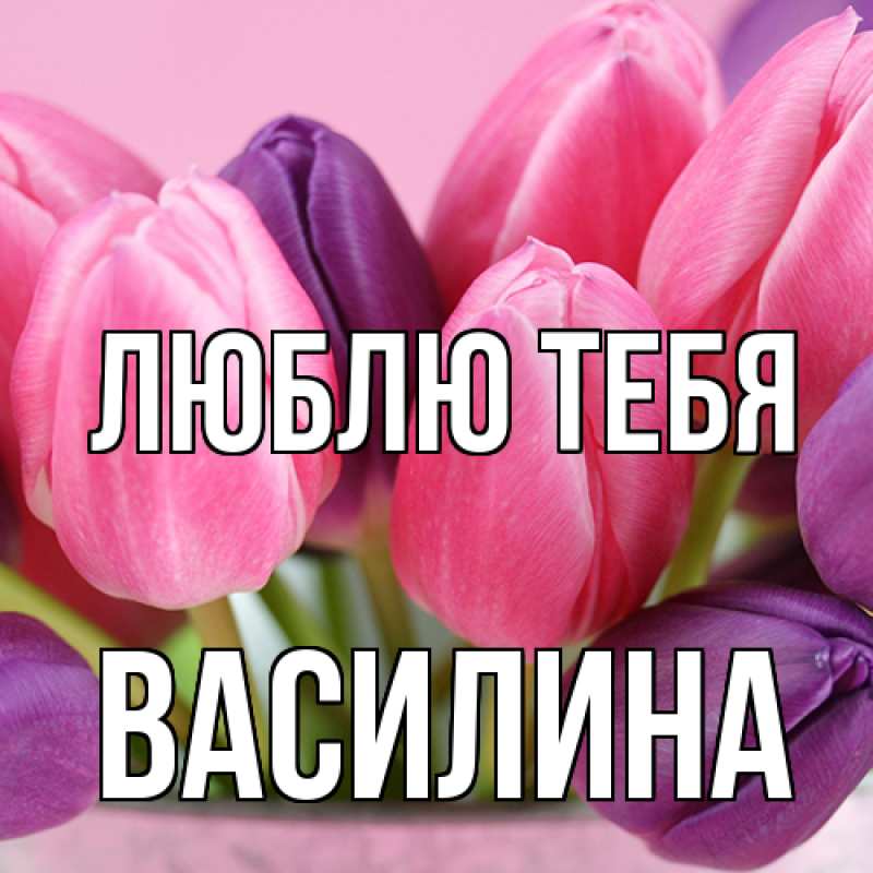 Картинка Люблю тебя, Василина