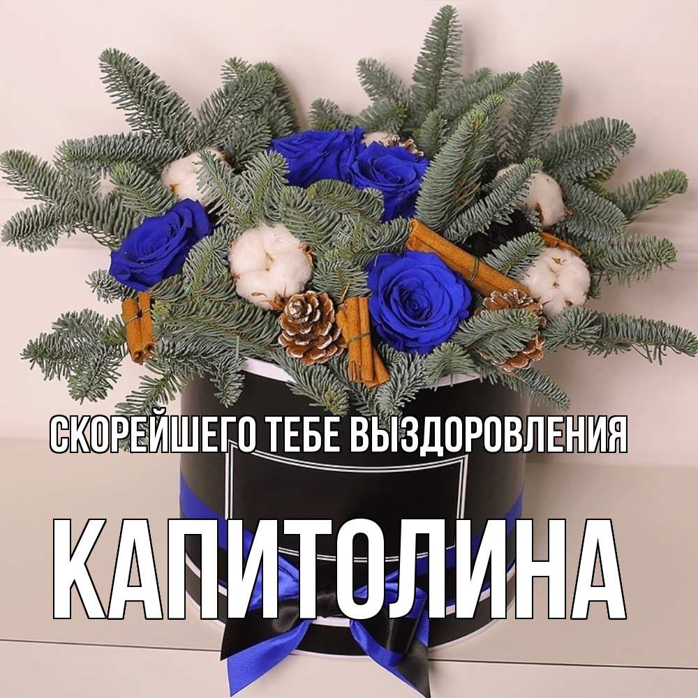 Открытка на каждый день с именем, Капитолина Скорейшего тебе выздоровления короче кто то загрузил эти шишки Прикольная открытка с пожеланием онлайн скачать бесплатно 