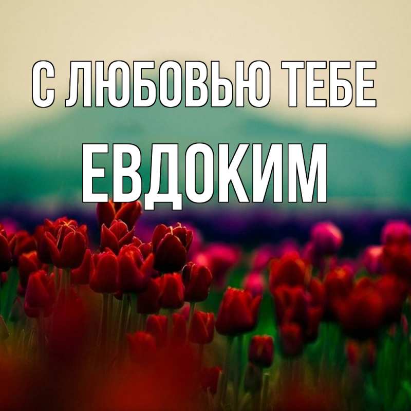 Картинка С любовью тебе, Евдоким
