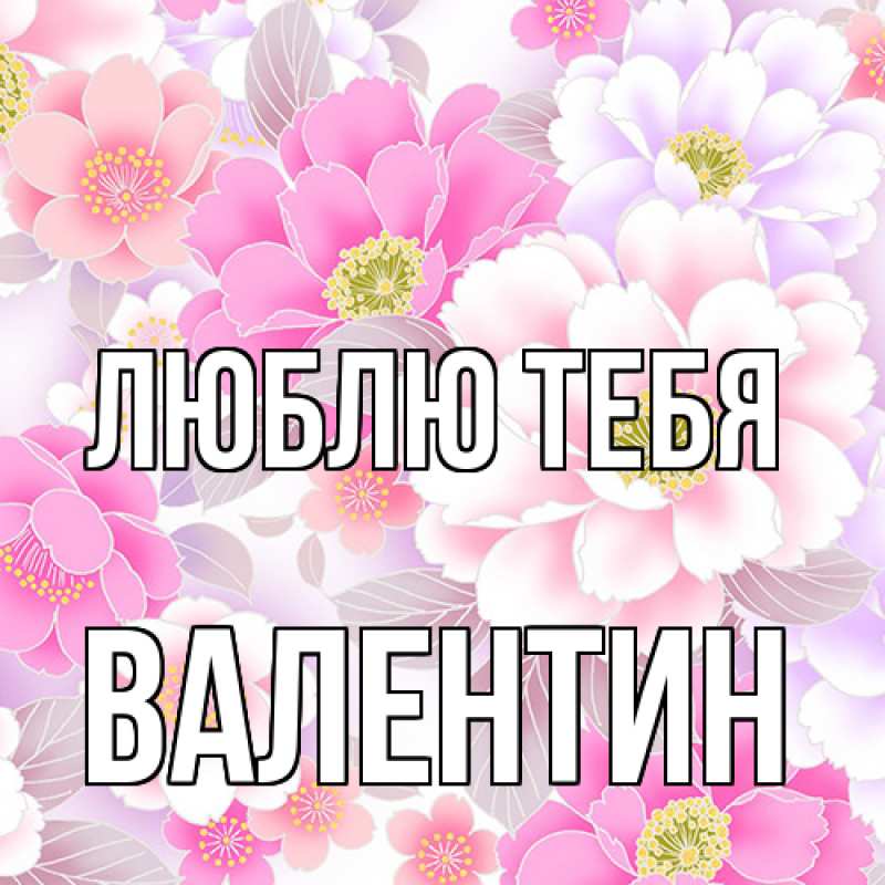 Картинка Люблю тебя, Валентин