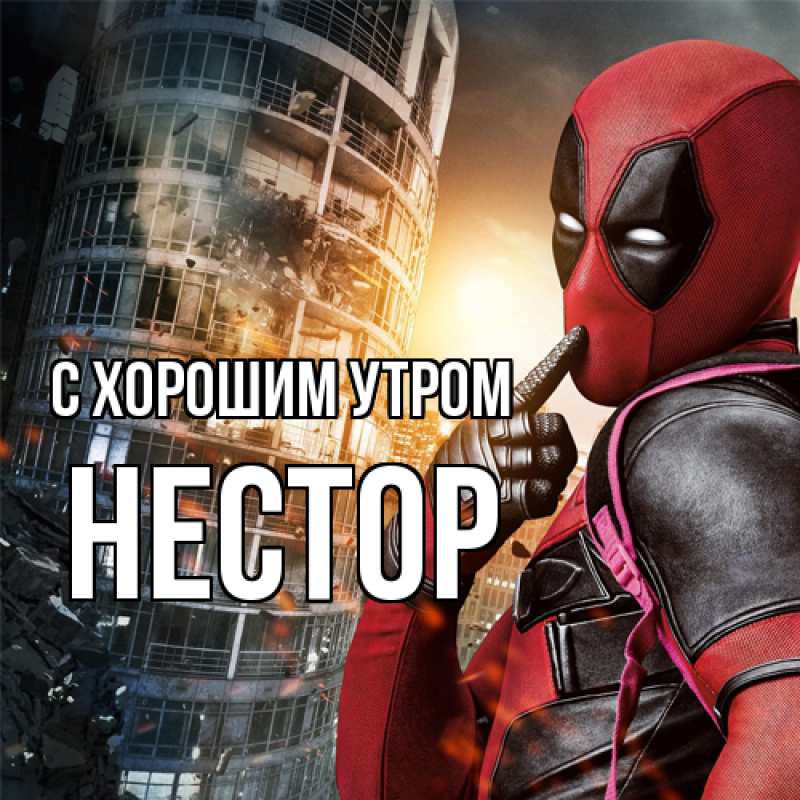 Картинка С хорошим утром, Нестор