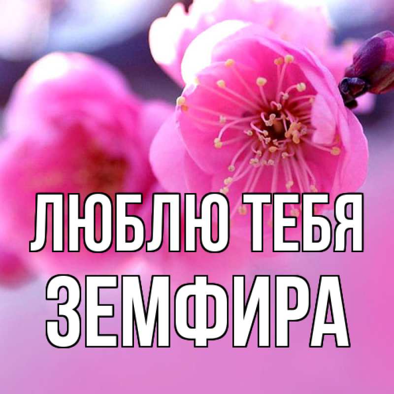 Картинка Люблю тебя, Земфира