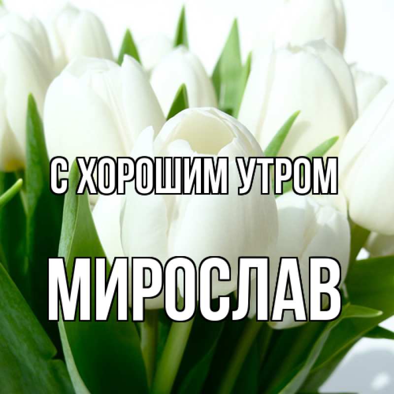 Картинка С хорошим утром, Мирослав