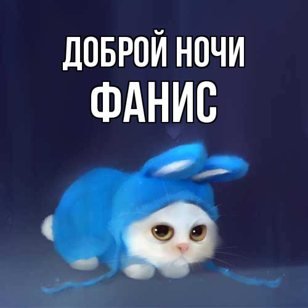 Открытка на каждый день с именем, Фанис Доброй ночи кот в голубом костюме кролика с ушками Прикольная открытка с пожеланием онлайн скачать бесплатно 