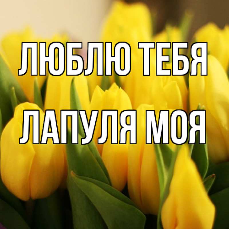 Картинка Люблю тебя, Лапуля моя