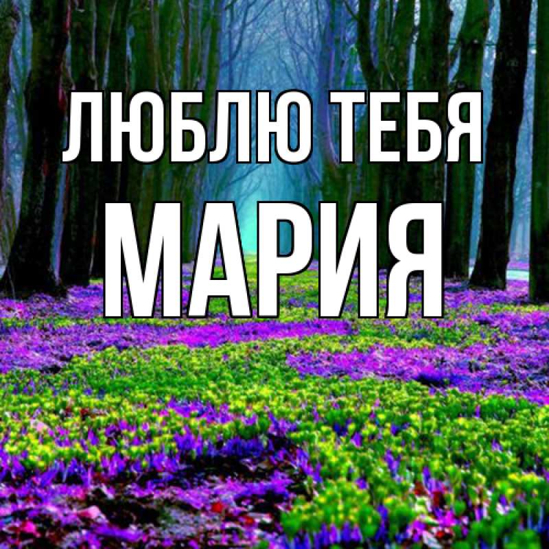 Картинка Люблю тебя, Мария