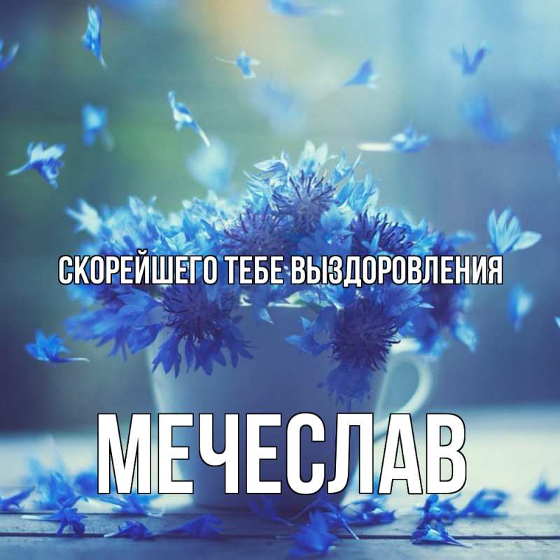 Картинка Скорейшего тебе выздоровления, Мечеслав