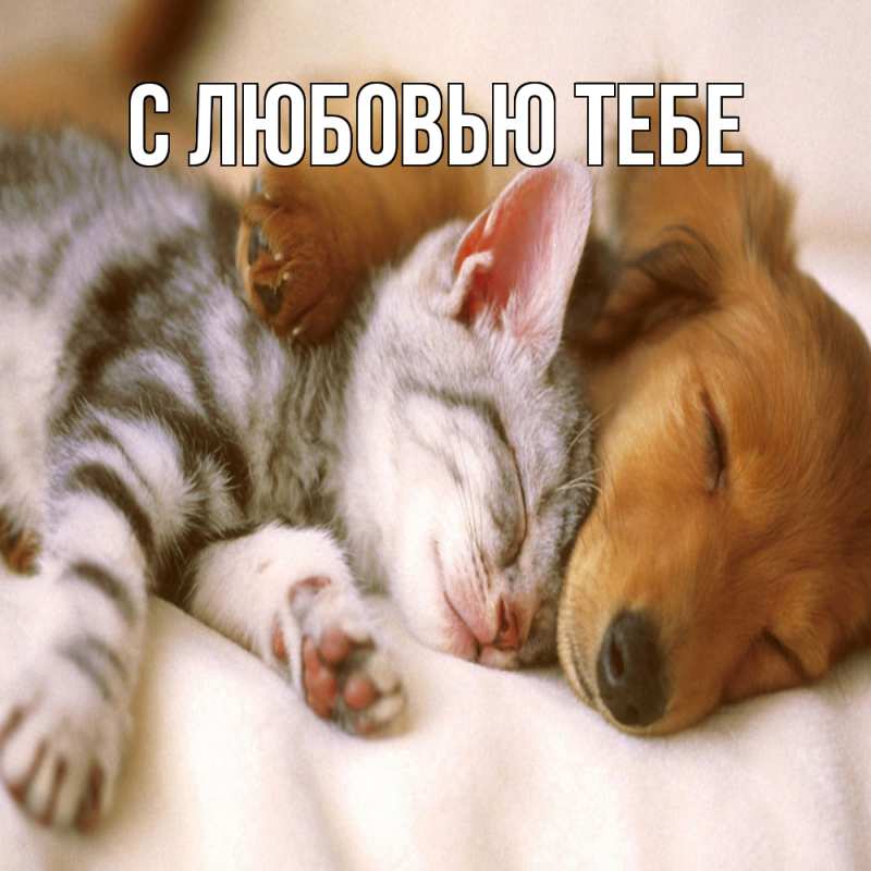 Картинка Обнимашки, Влад
