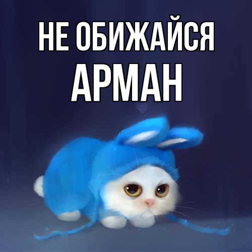 Открытка на каждый день с именем, Арман Не обижайся невинный котозай просит прощения Прикольная открытка с пожеланием онлайн скачать бесплатно 