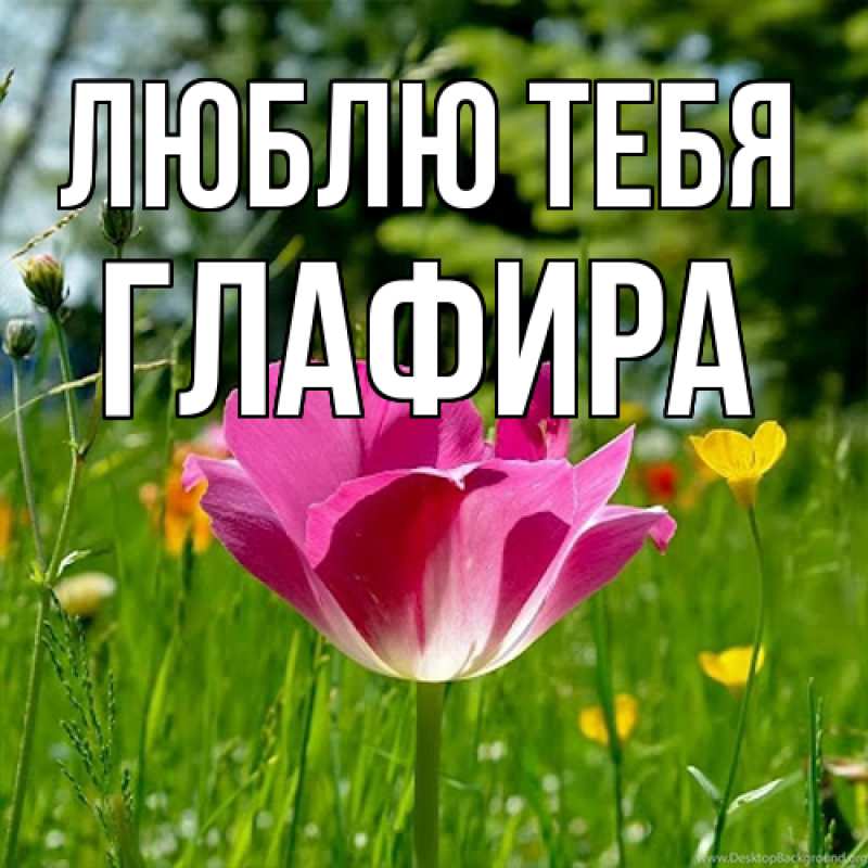 Картинка Люблю тебя, Глафира