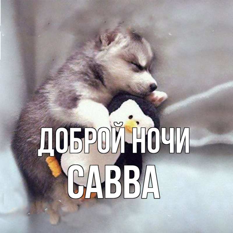 Картинка Доброй ночи, Савва