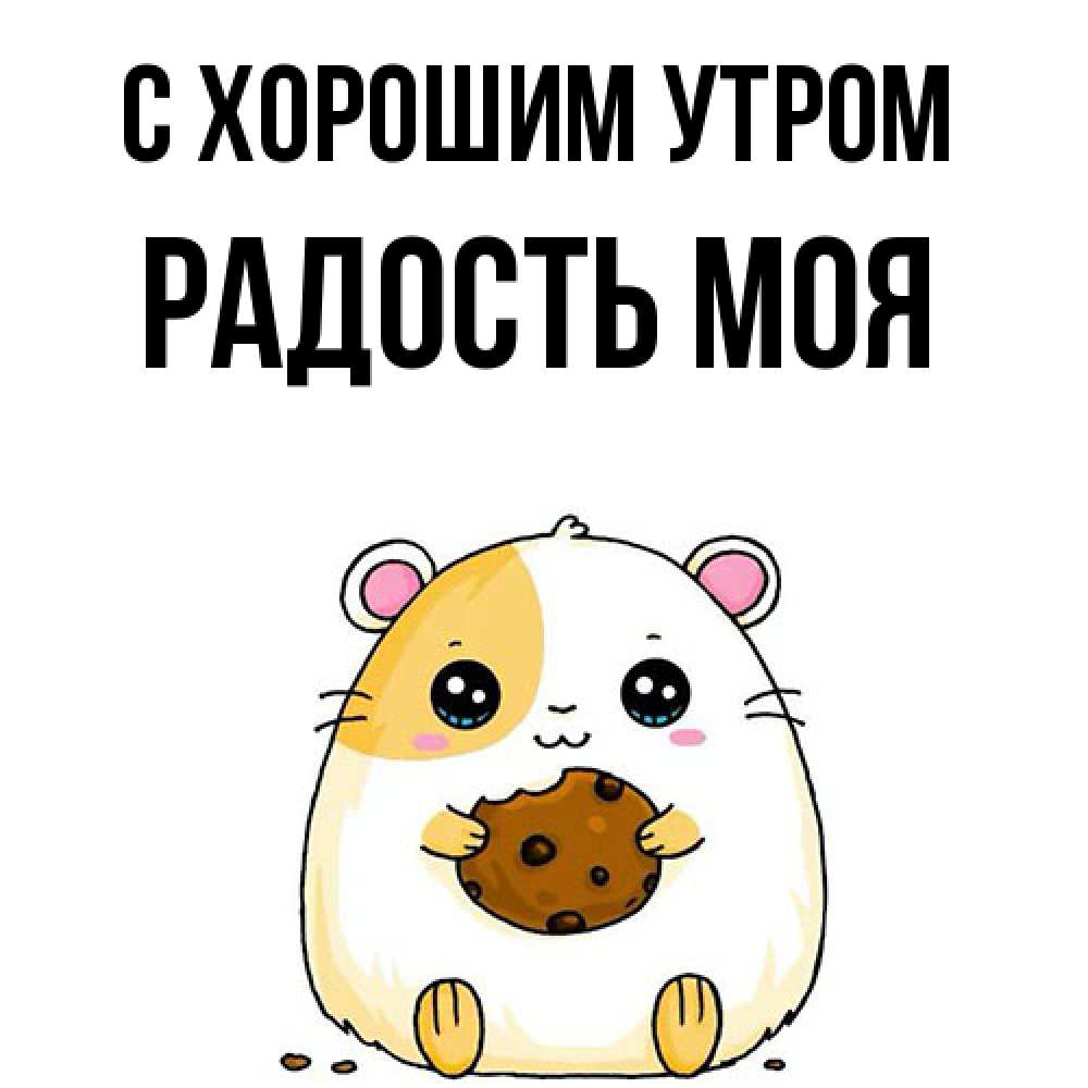 Открытка на каждый день с именем, Радость-моя С хорошим утром есть печеньку. Утречко Прикольная открытка с пожеланием онлайн скачать бесплатно 