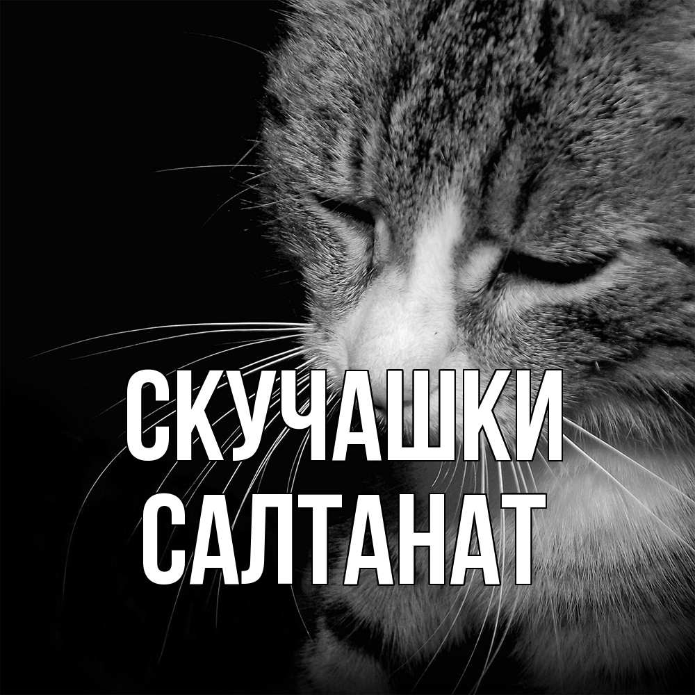 Открытка на каждый день с именем, Салтанат Скучашки мне скучно Прикольная открытка с пожеланием онлайн скачать бесплатно 