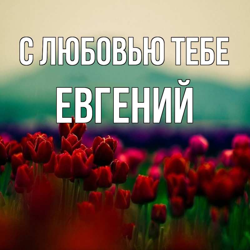 Картинка С любовью тебе, Евгений