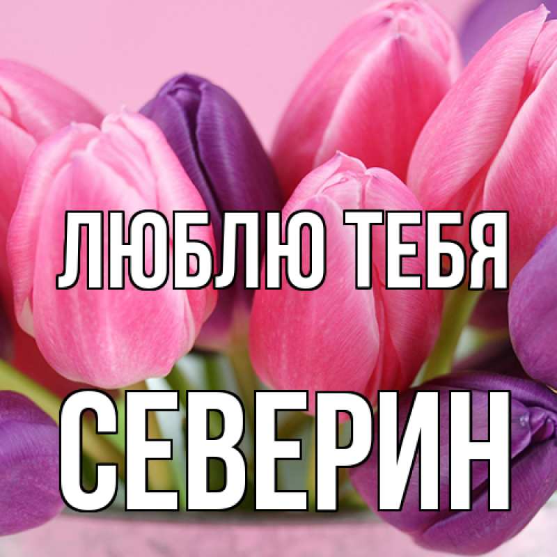 Картинка Люблю тебя, Северин