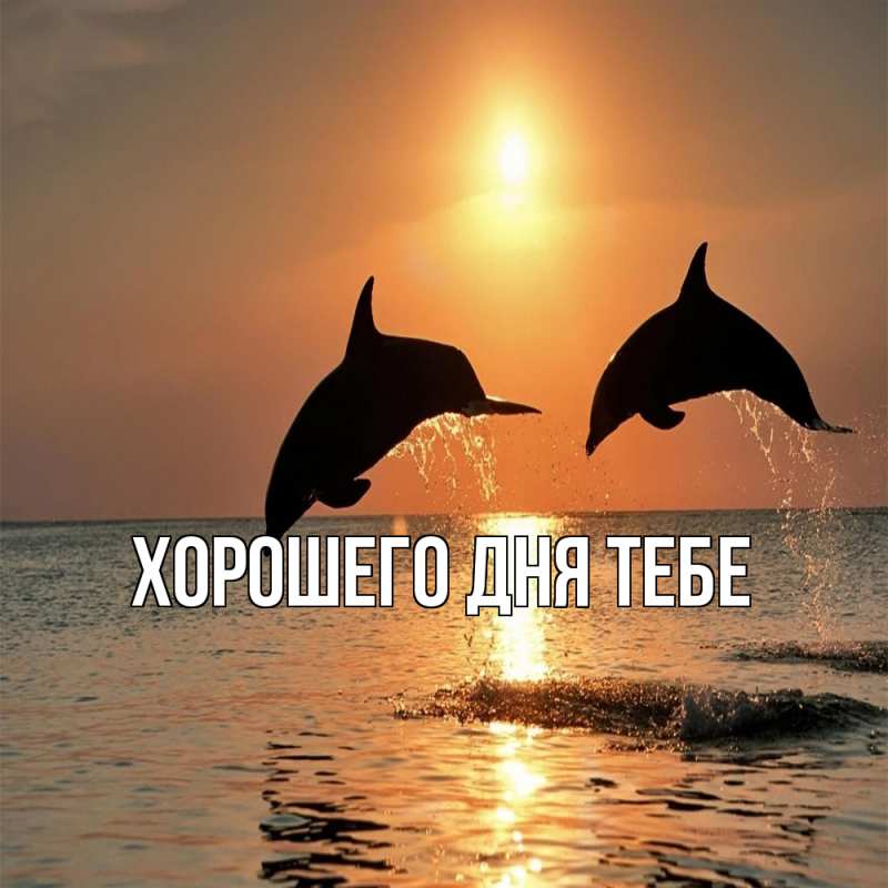 Картинка Обнимашки, Аделина