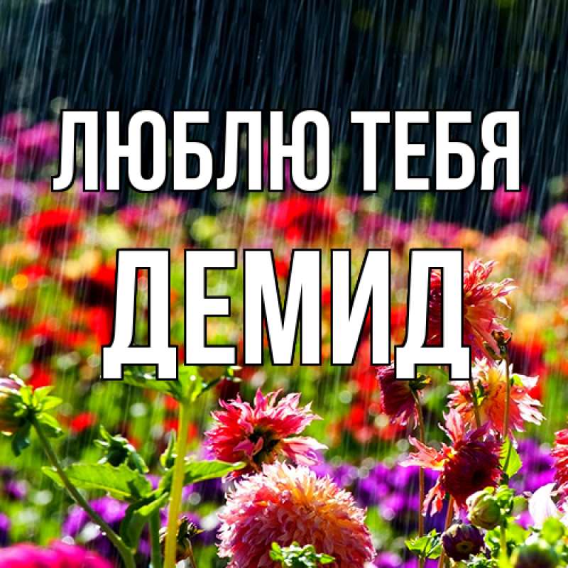 Картинка Люблю тебя, Демид