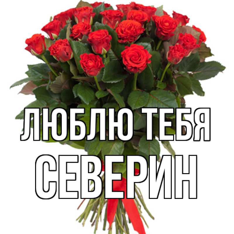 Картинка Люблю тебя, Северин