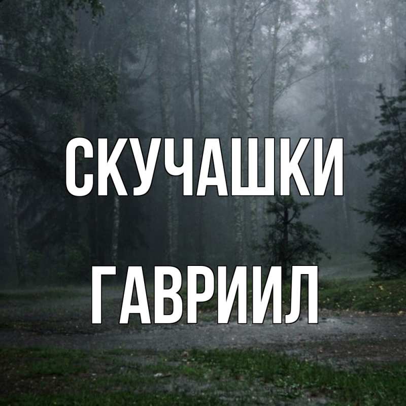 Картинка Скучашки, Гавриил