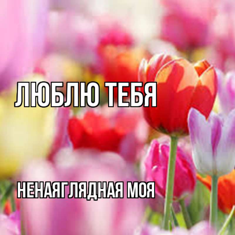 Картинка Люблю тебя, Ненаяглядная моя