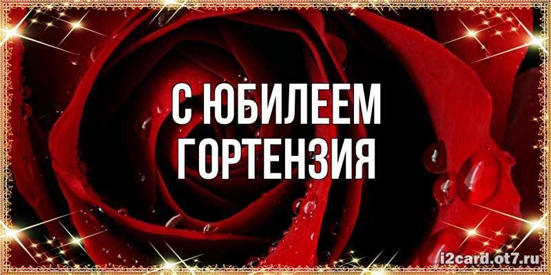 Картинка C юбилеем, Гортензия