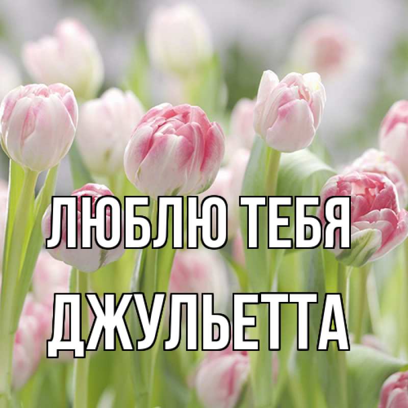 Картинка Люблю тебя, Джульетта