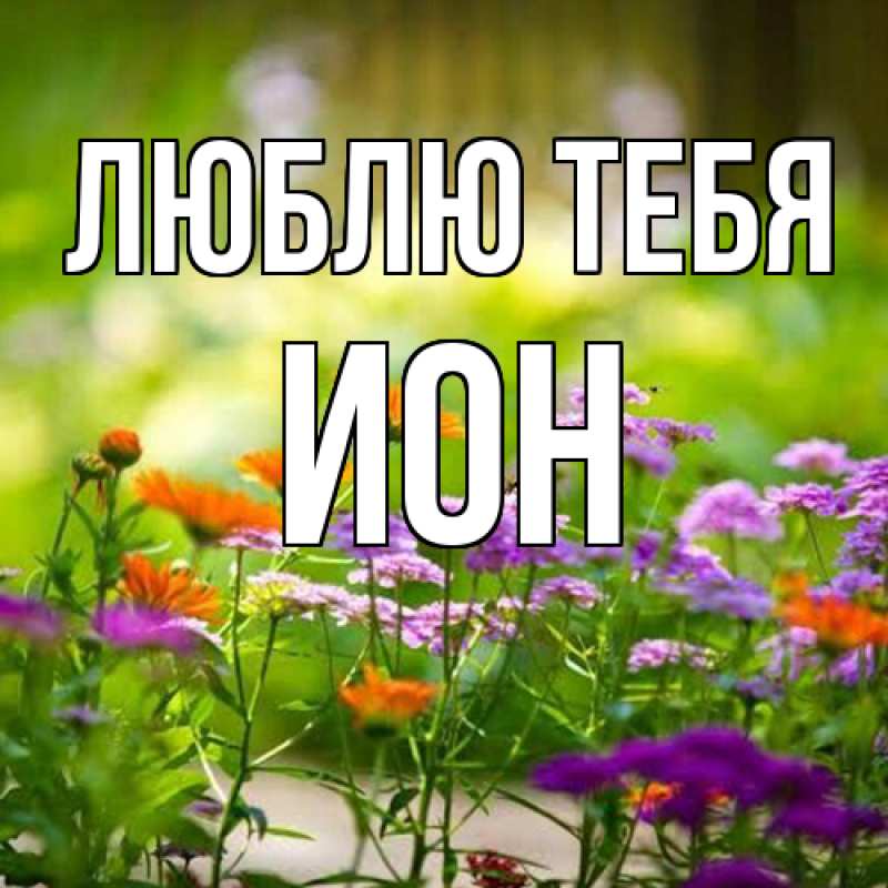 Открытка с именем, Ион, Люблю тебя