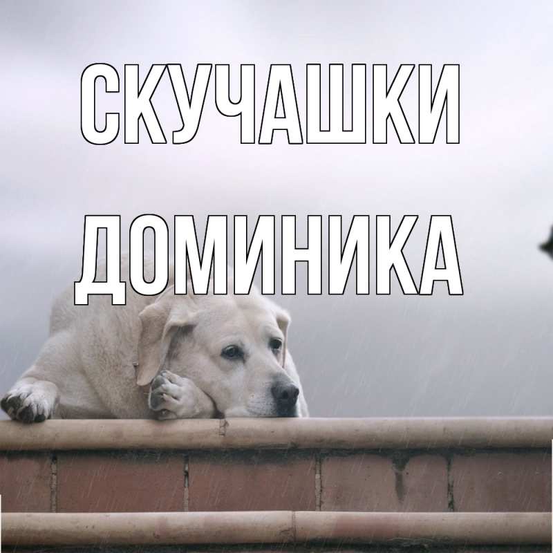 Картинка Скучашки, Доминика