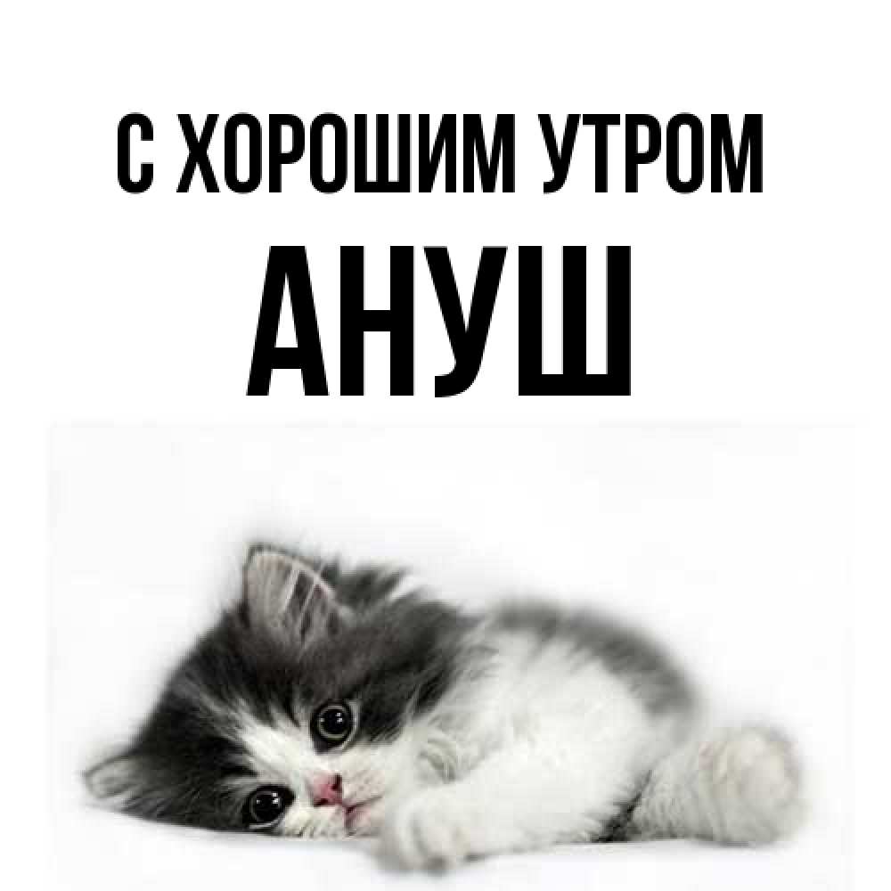 Открытка на каждый день с именем, Ануш С хорошим утром кот лапки Прикольная открытка с пожеланием онлайн скачать бесплатно 