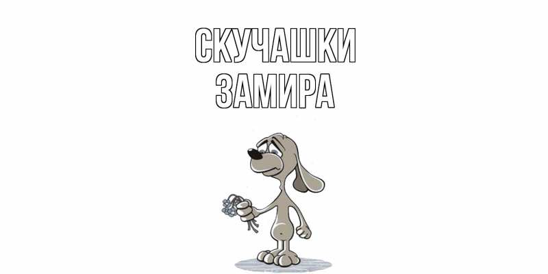 Картинка Скучашки, Замира