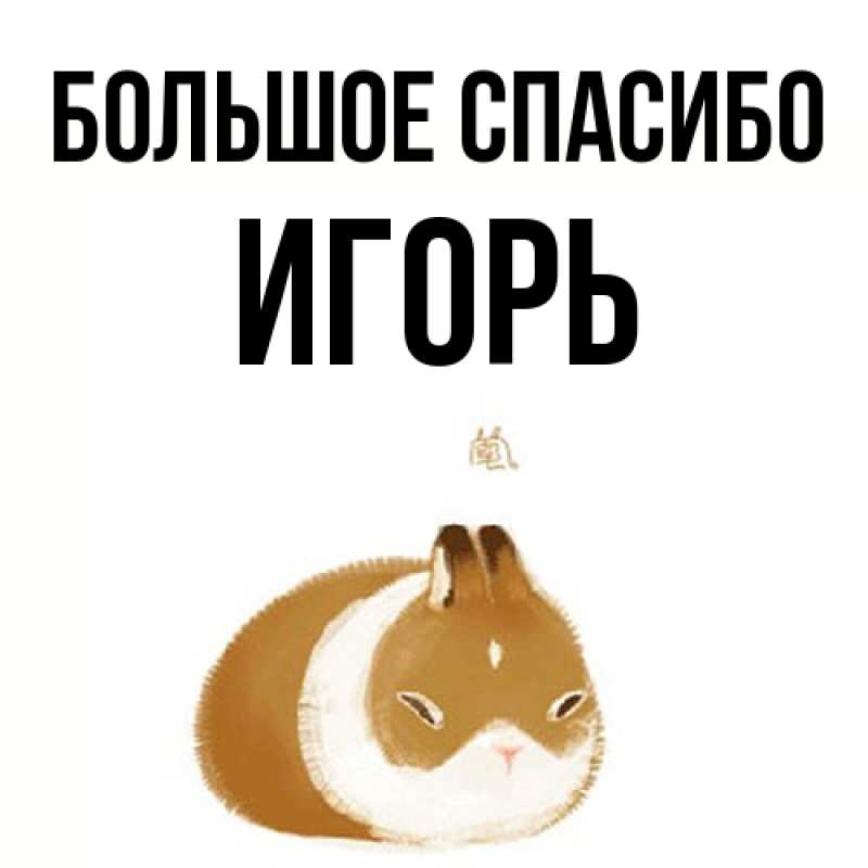 Открытка с именем, Игорь, Большое спасибо