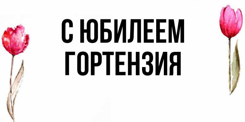 Картинка C юбилеем, Гортензия