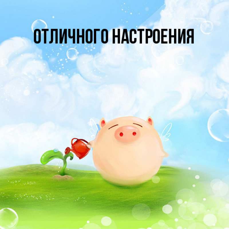 Картинка Я жду тебя, Эрнестина