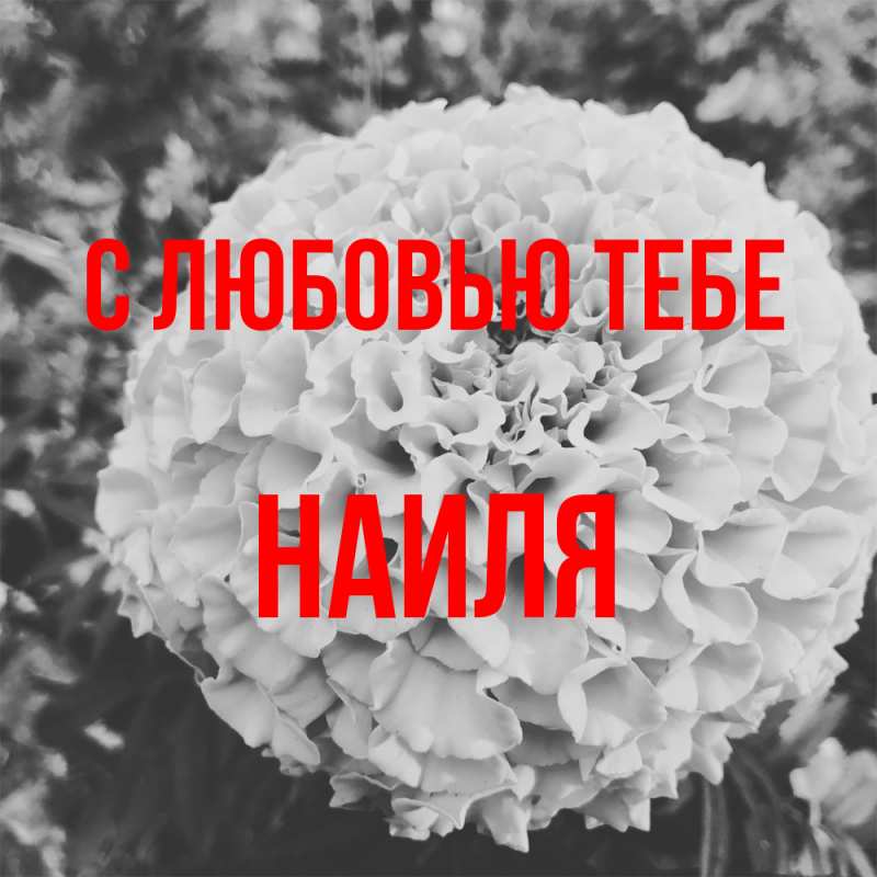 Открытка с именем, Наиля, С любовью тебе