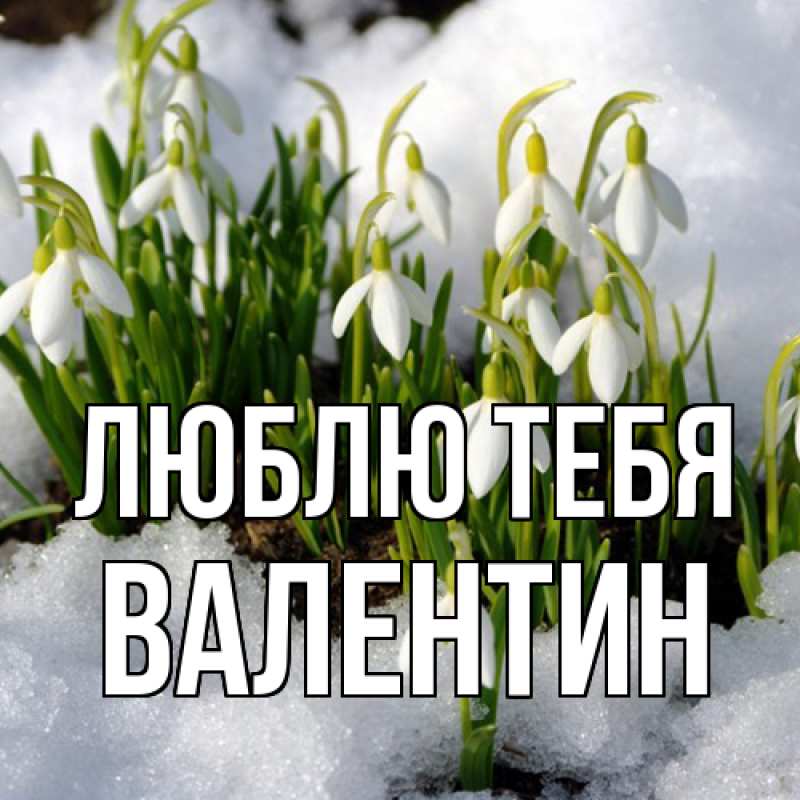 Картинка Люблю тебя, Валентин