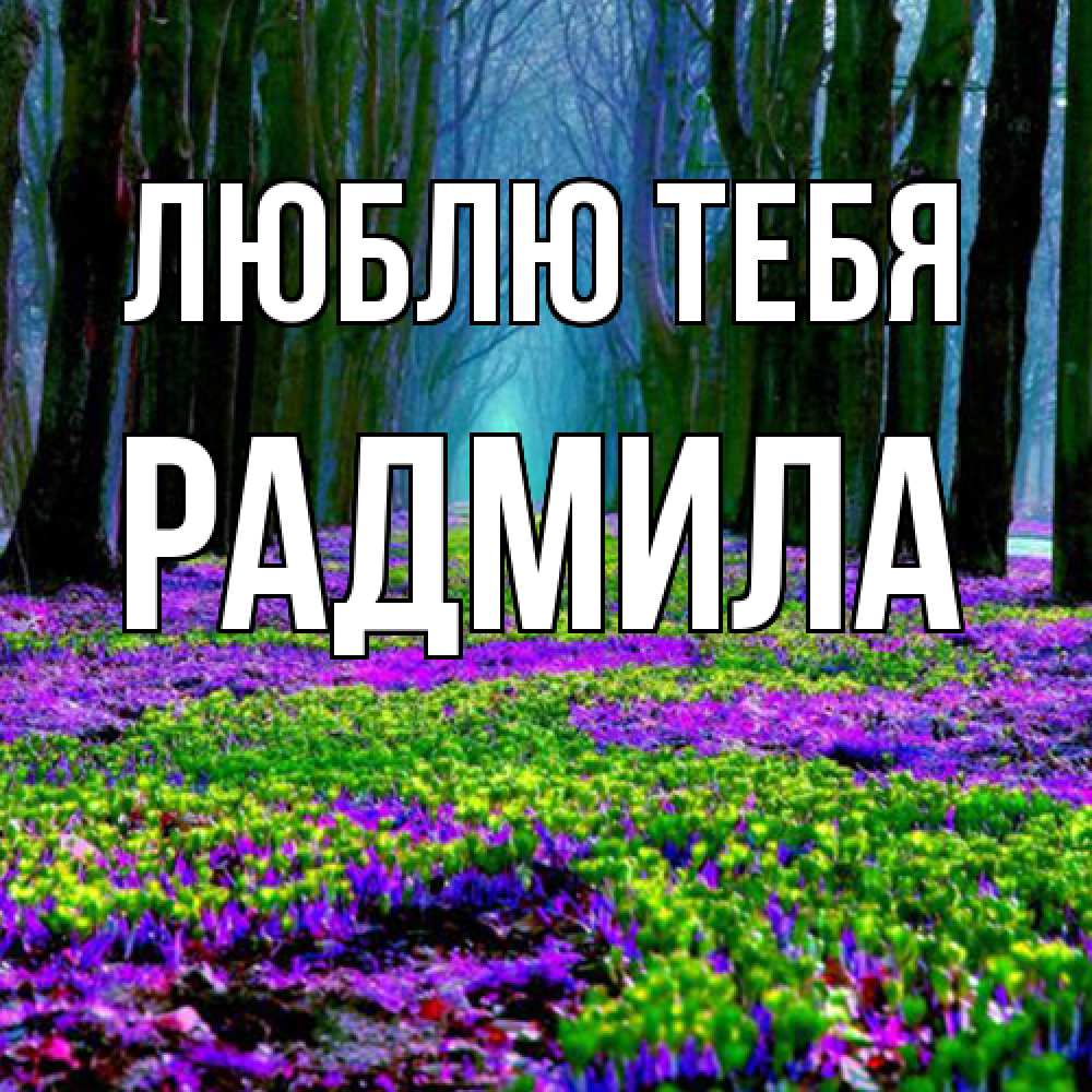 Открытка на каждый день с именем, Радмила Люблю тебя фиолетовые цветы в лесу 1 Прикольная открытка с пожеланием онлайн скачать бесплатно 