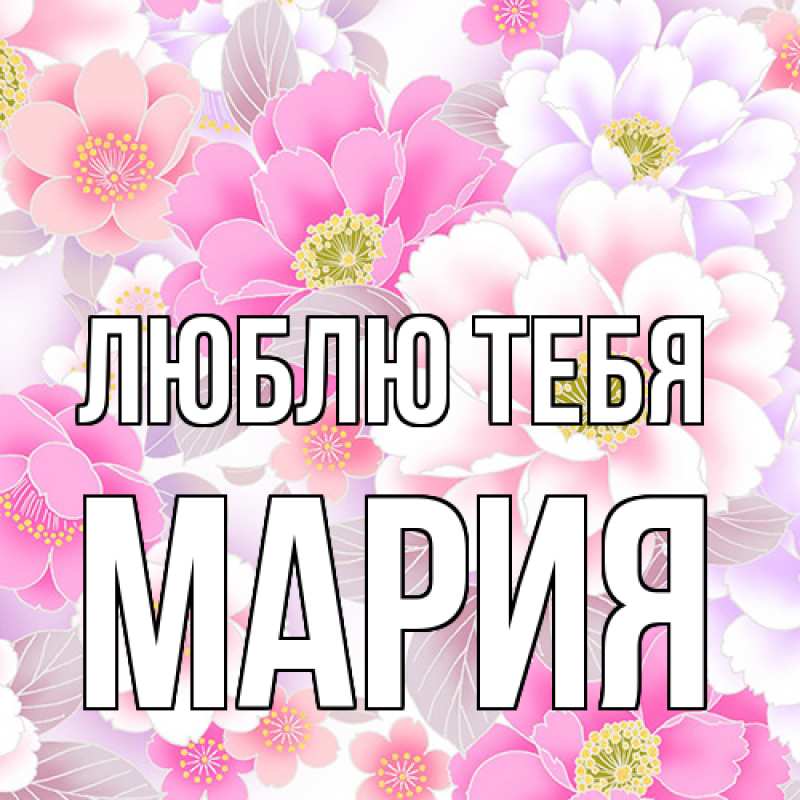 Картинка Люблю тебя, Мария